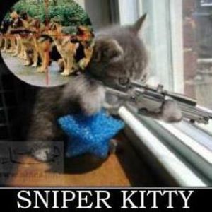 Meet your Posher, Elijah